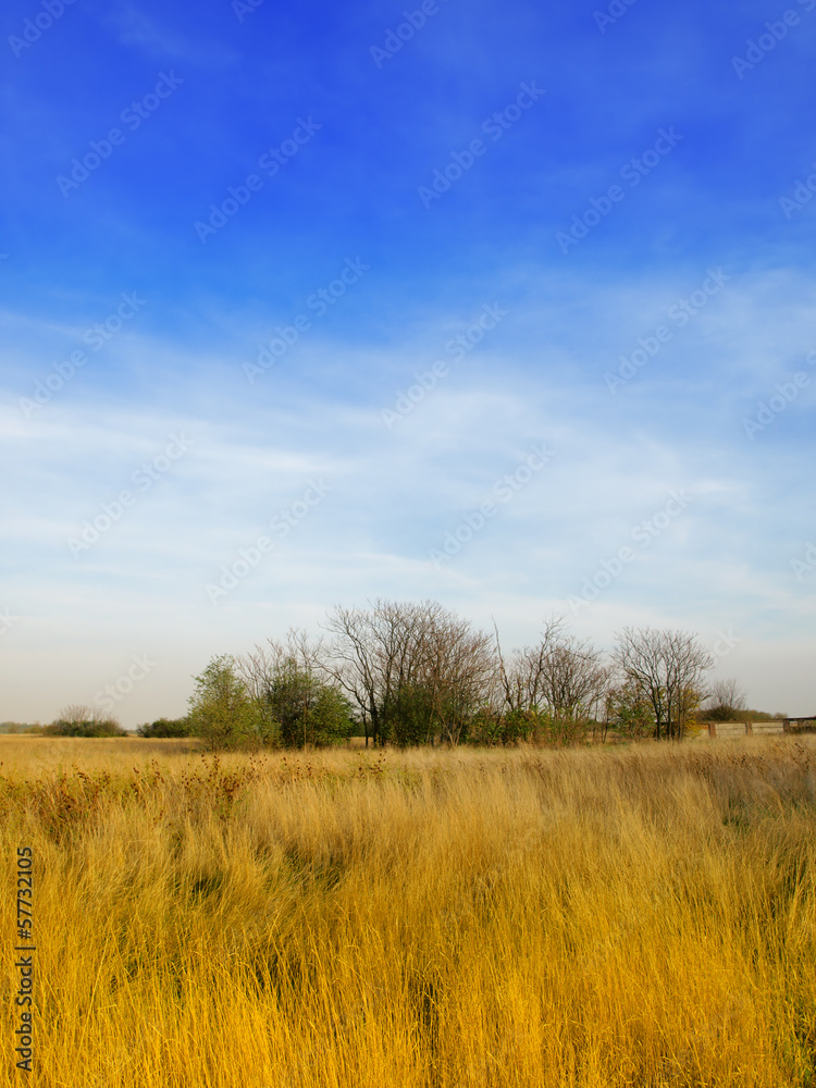 Landscape with the meadow and cloudy sky Landscape with the meadow and cloudy sky