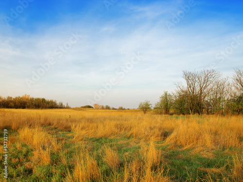 Landscape with the meadow and cloudy sky