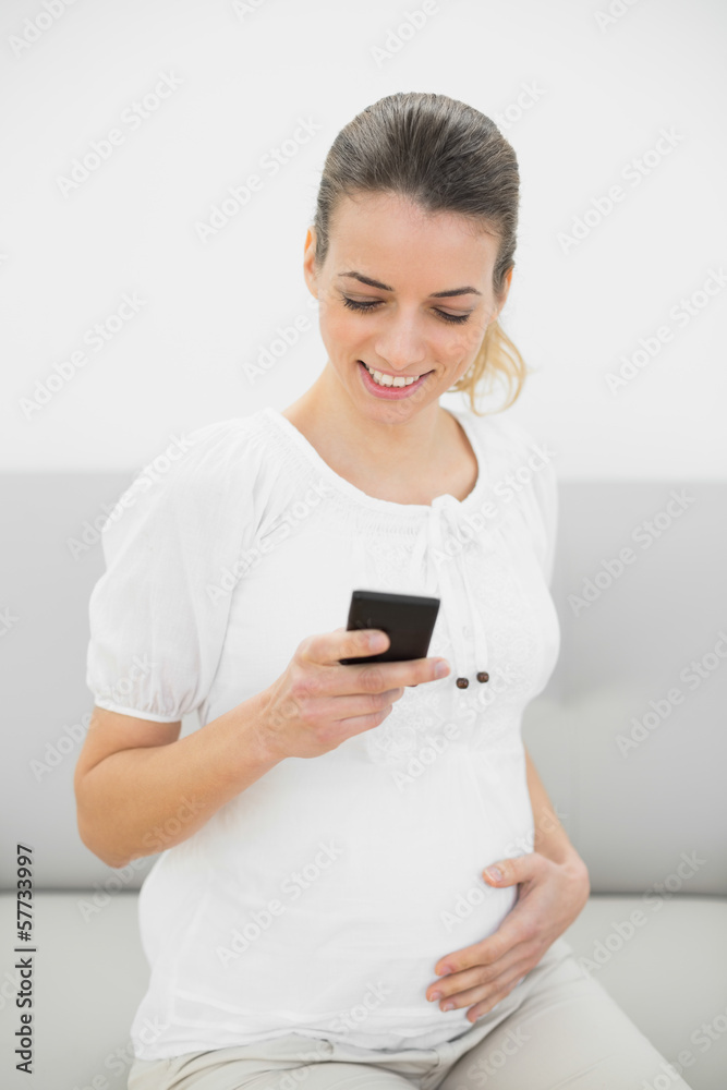 Gorgeous pregnant woman messaging with her smartphone while hold Gorgeous pregnant woman messaging with her smartphone while hold