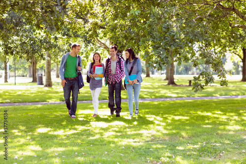 Froup of college students walking in the park photo
