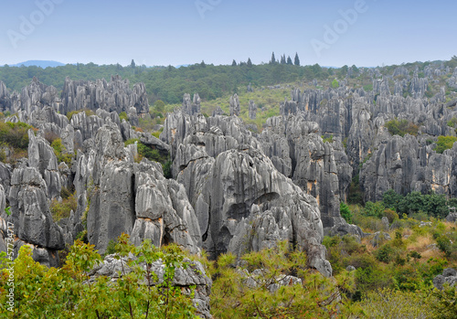 Stone Forest National Park photo