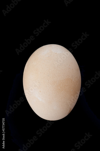 Egg black background