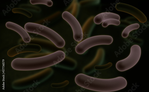 Coli bacteria photo