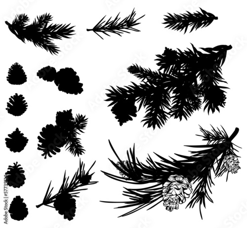 Wallpaper Mural pine branches and cones black silhouettes Torontodigital.ca