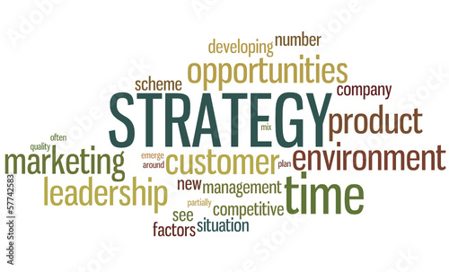 Word Cloud : Strategy