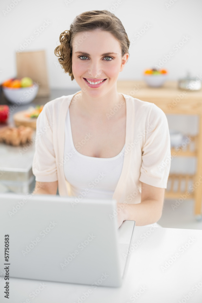 Cheerful young woman using her notebook sitting in kitchen