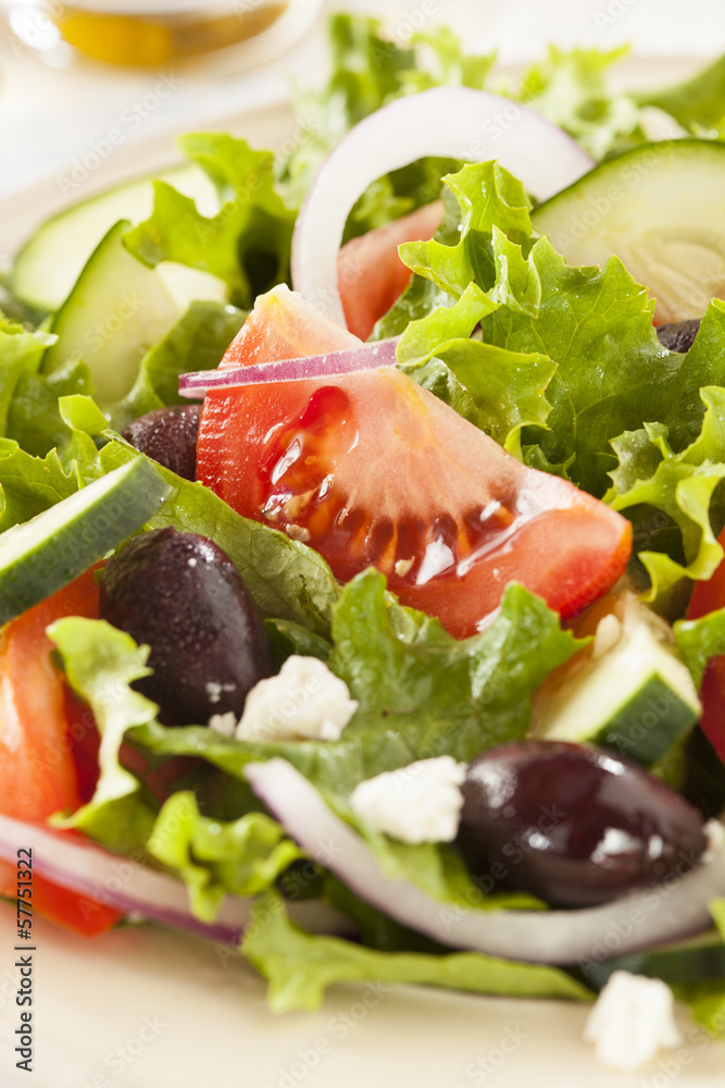Homemade Organic Greek Salad Homemade Organic Greek Salad