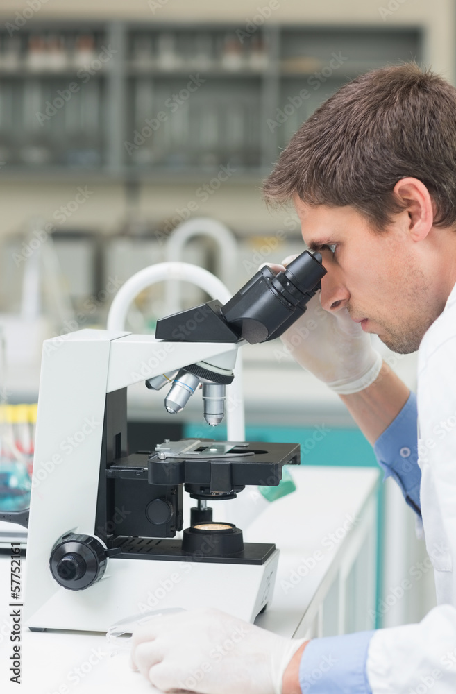 Scientific researcher using microscope in the laboratory Scientific researcher using microscope in the laboratory