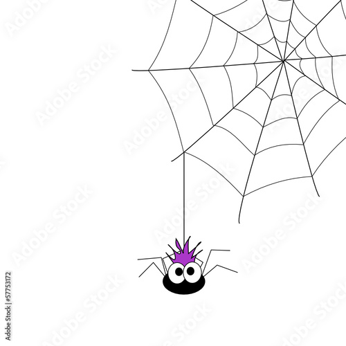 Spider