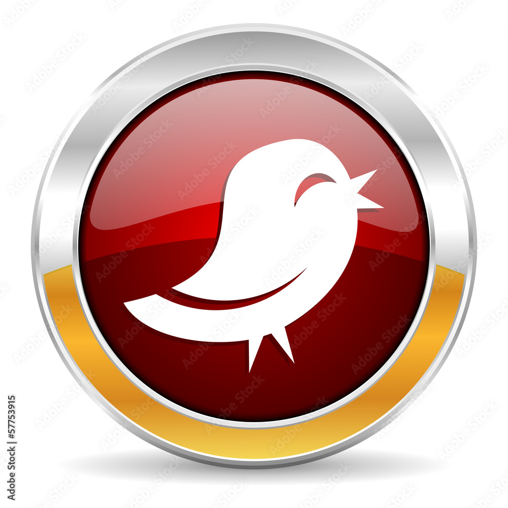 twitter icon twitter icon
