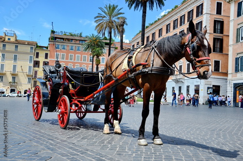Carriage horse