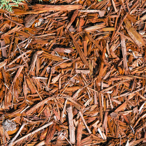 Fotografía Background of natural wood shavings
