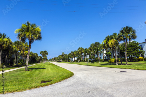 streets with palms in the living area of naples