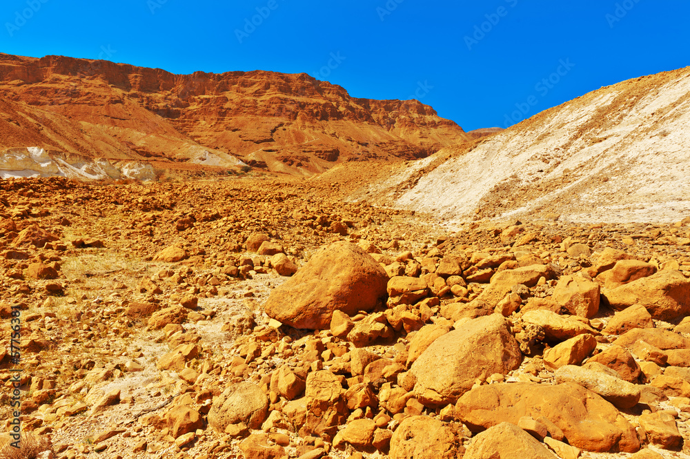 Fototapeta premium Stony Desert