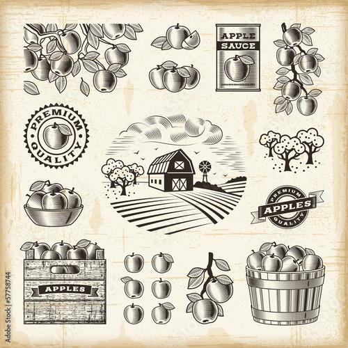 Vintage apple harvest set