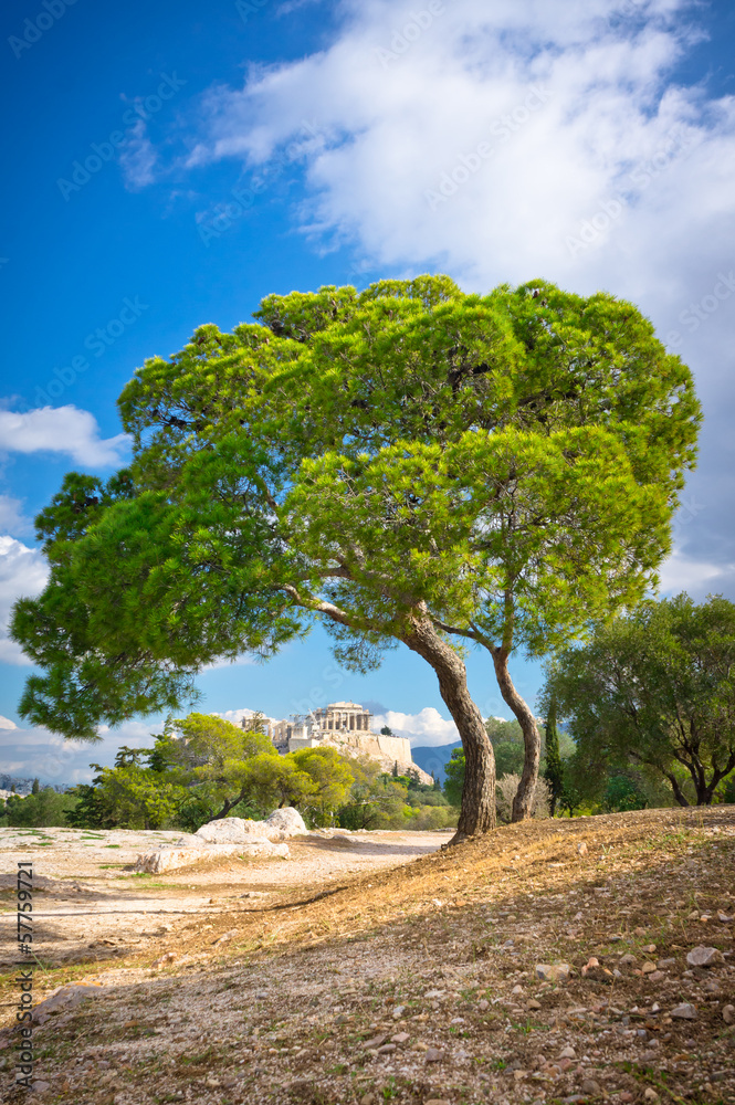 Beautiful view of ancient Acropolis, Athens, Greece Beautiful view of ancient Acropolis, Athens, Greece