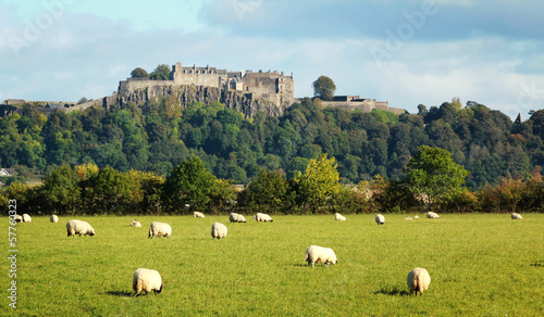 Stirling castle photo