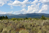 Yellowstone landscape