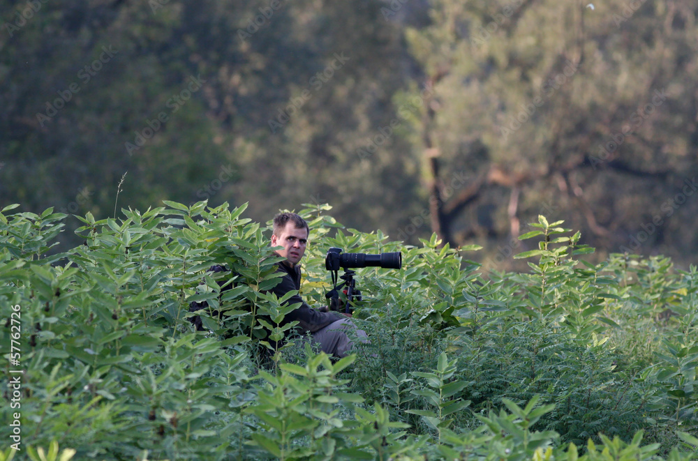 Naklejka premium Photographer in action in forest