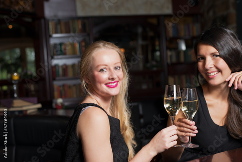 Two beautiful women toasting each other