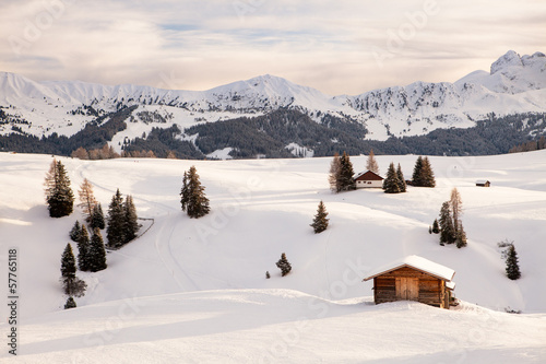 Sassolungo, Dolomiti photo