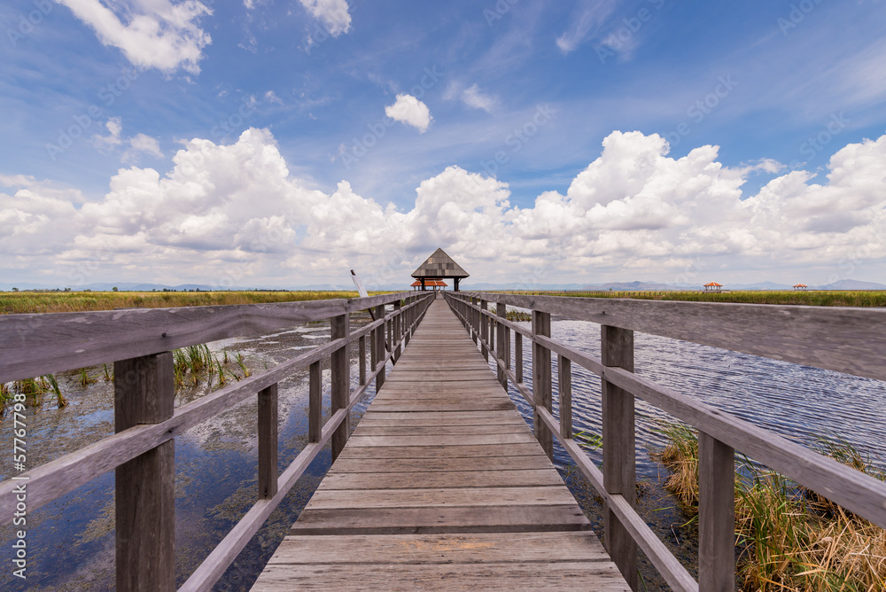 wooden pathway above swamp field