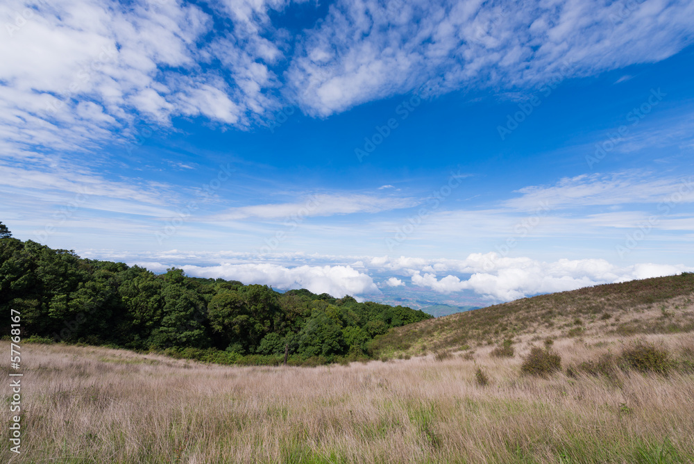 Hill plain landscape on Giu Mae Pan,Chiang Mai Thailand