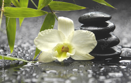 White orchid and stones stack in balance with green leaves