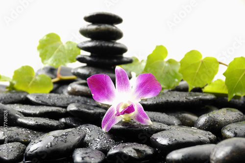 stones in balance and pink orchid and green ivy leaves on wet pebble