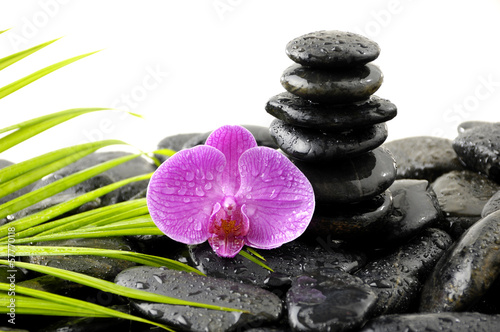 stones in balance and pink orchid and green leaves on wet pebble