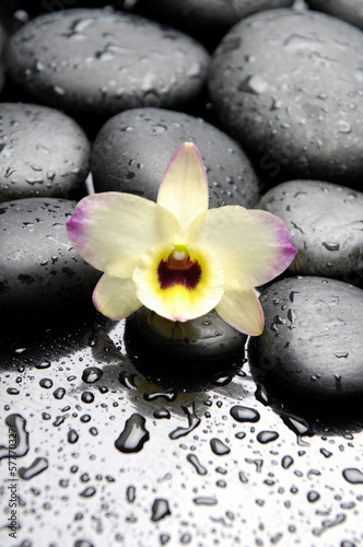  Spa still life with hot stones and orchid with bamboo leaves