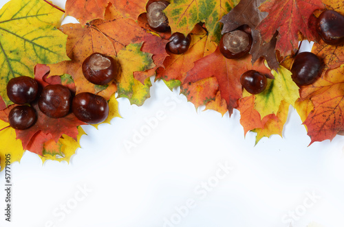 autumn leaves and chestnuts with scpae for your text