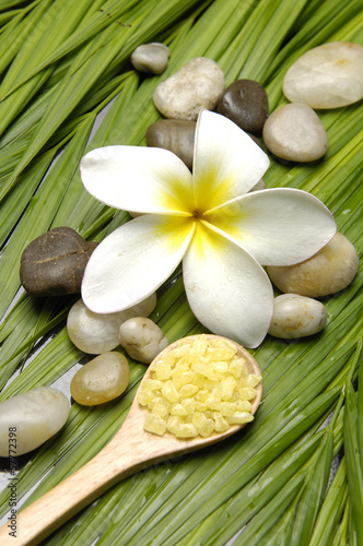 Frangipanis flower and natural sea bath salt in wood bowl on palm leaf    