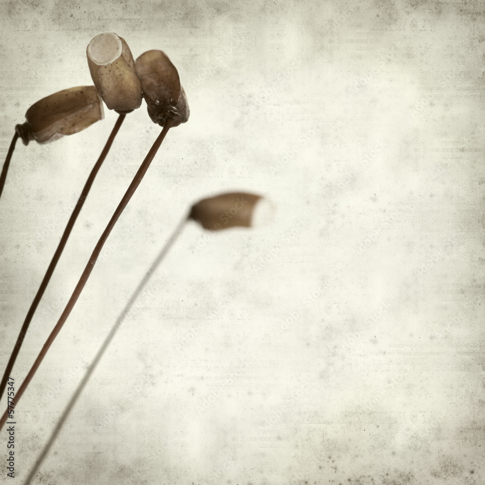 textured old paper background