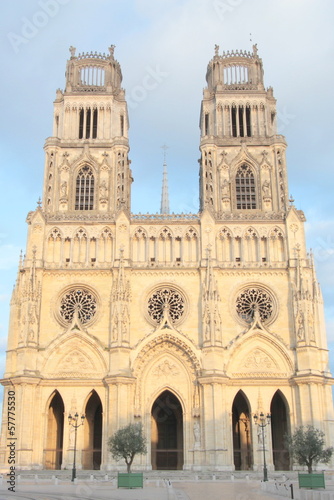 Cathédrale Sainte-Croix. Orléans.