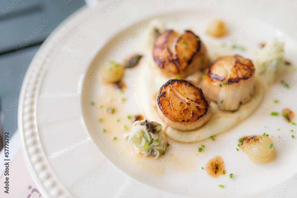 Grilled scallops on white plate Grilled scallops on white plate