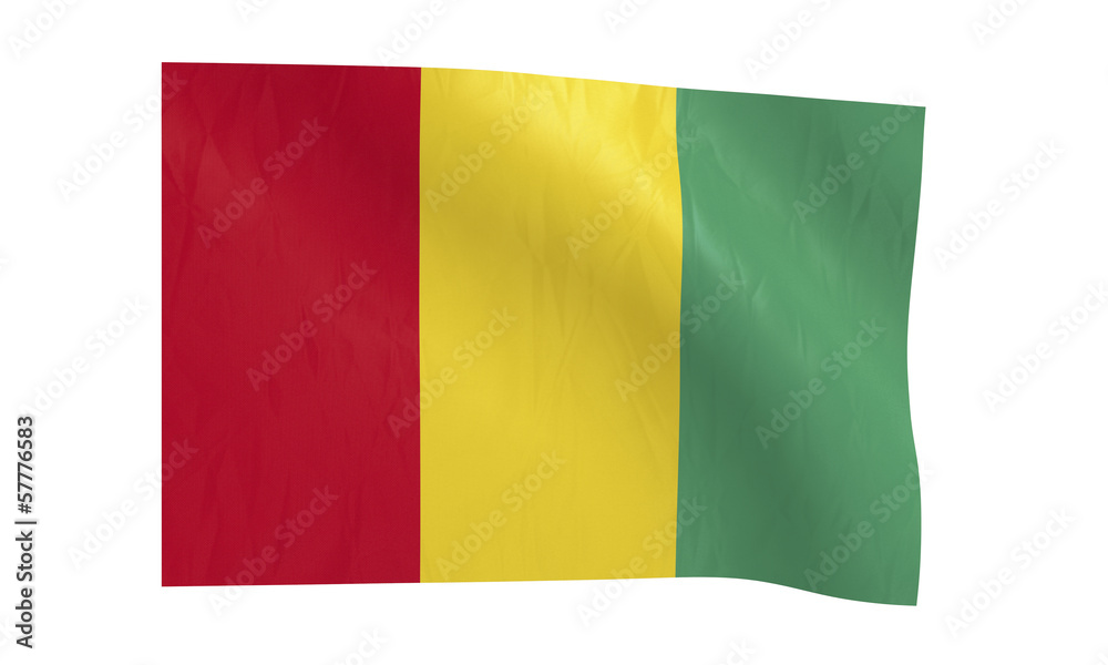 Fototapeta premium Guinea