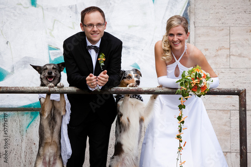 Hundehochzeit photo