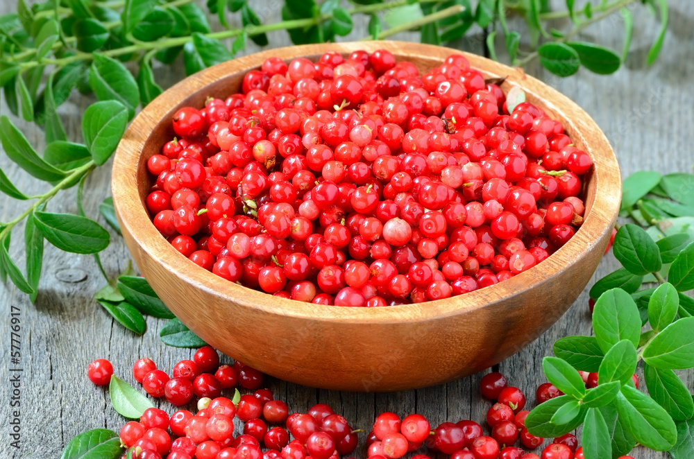 Cowberries in brown bowl Cowberries in brown bowl