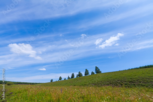 beautiful grassland landscape in summer