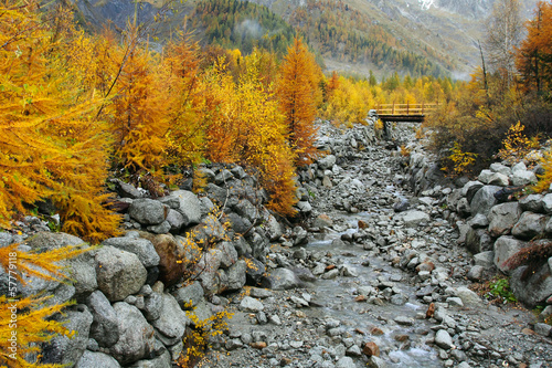 Mountain stream and autumn colors