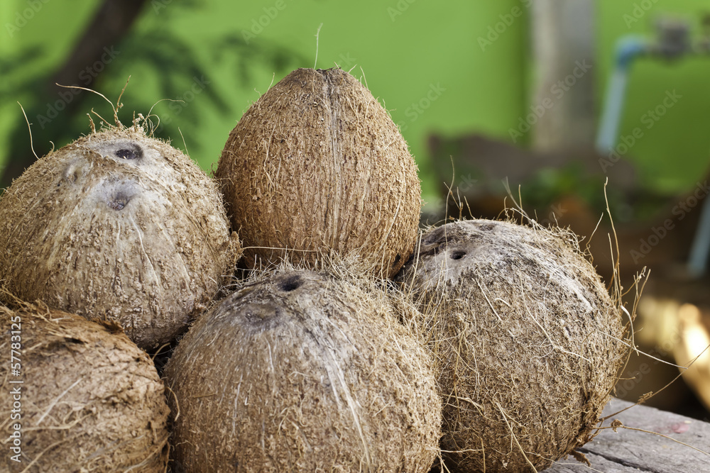 Dried coconut for coconut milk Dried coconut for coconut milk