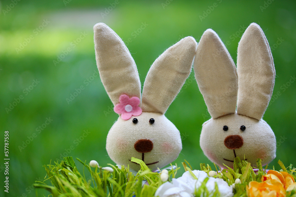 Obraz premium Hasenpärchen