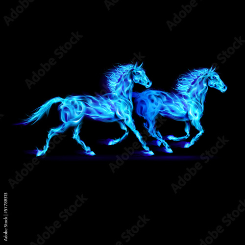 Blue fire horses.