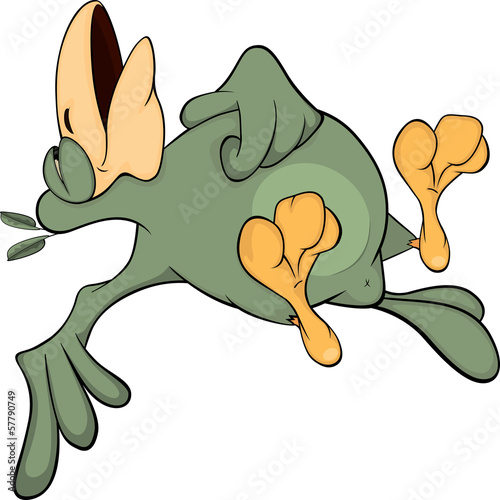 Sleeping parrot cartoon