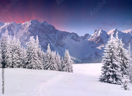 Beautiful winter landscape in the mountains. Sunrise © Andrew Mayovskyy
