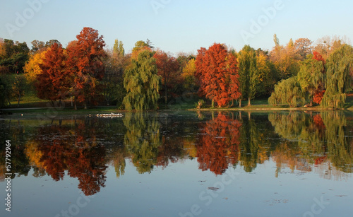 Autumn lake