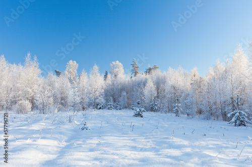 Winter park in snow © Alexander Ozerov