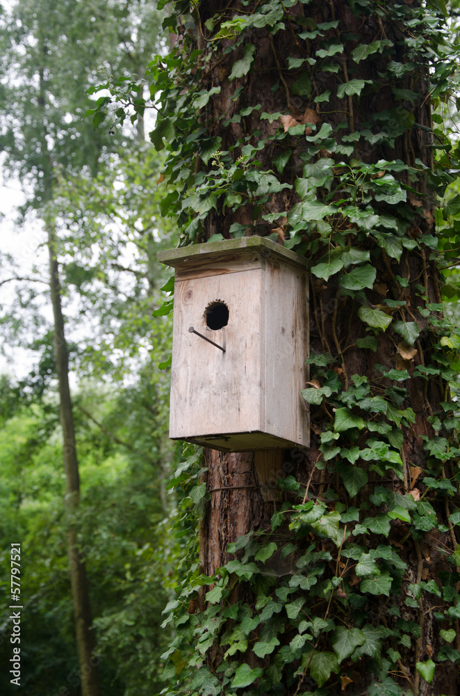 A wooden birdhouse hung on a tree