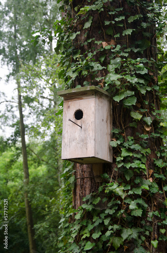 A wooden birdhouse hung on a tree